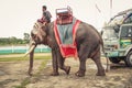 Surin, Thailand - July Ã¢â¬Å½20, Ã¢â¬Å½2018 : Mahouts and elephants go to work in the carnival Royalty Free Stock Photo